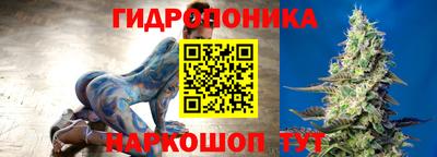 трава Пугачёв