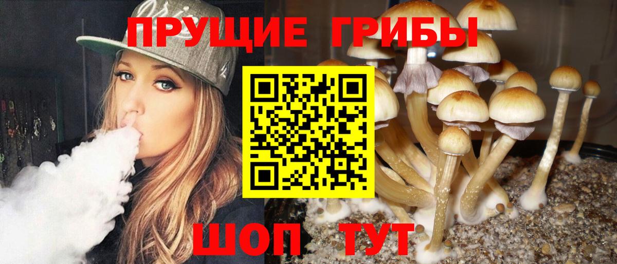 Галлюциногенные грибы Magic Shrooms  Псилоцибиновые грибы Cubensis  Похвистнево  Вход с VPN 